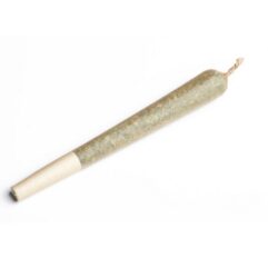 Delta-8-THC Blackberry Haze 1g Pre-roll