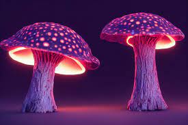 Effects of Magic Mushrooms