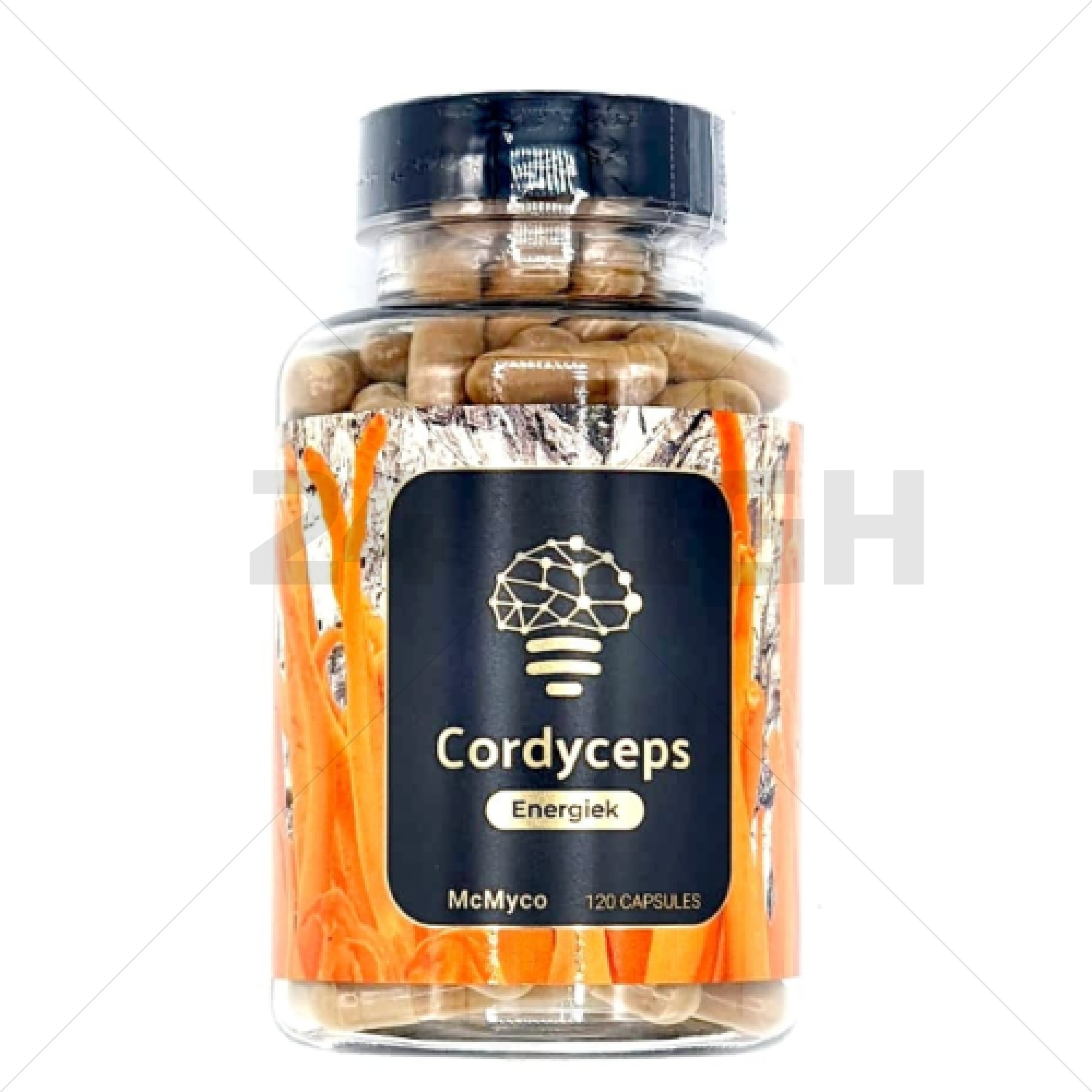 Cordyceps - Energetic