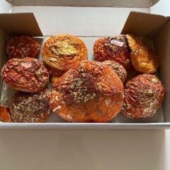 buy fly agaric amanita muscaria for sale in uk