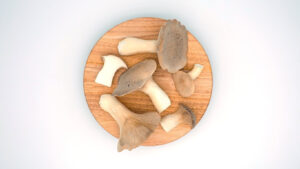 king oyster mushrooms, buy oyster mushrooms uk