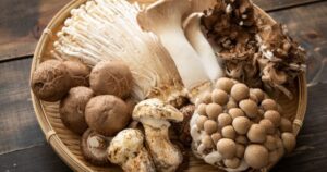 what fresh mushrooms look like, fresh magic mushrooms